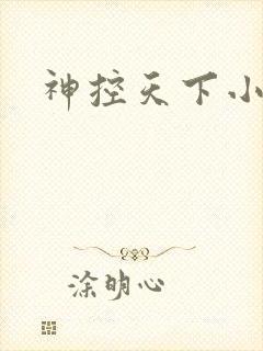 神控天下小说