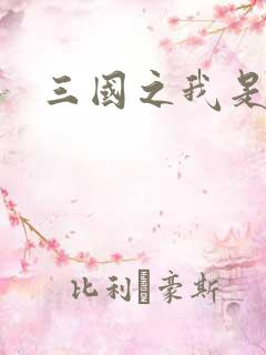 三国之我是华雄