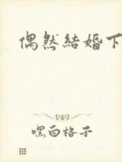 偶然结婚下载