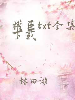 权臣txt全集下载