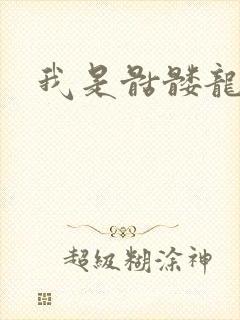 我是骷髅龙骑兵