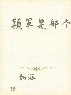 颖军是哪个军阀