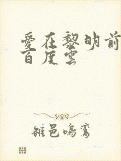 爱在黎明前降落百度云