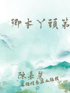 卿本丫头第二部