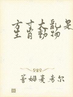 方寸大乱是什么生肖动物