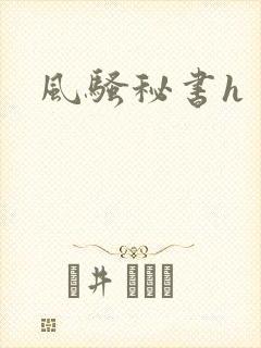 风骚秘书h