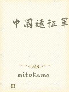 中国远征军小说