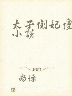 太子侧妃傻乎乎小说