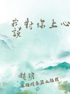 我对你上心了小说