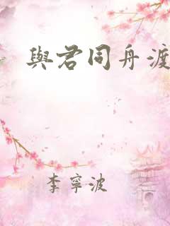 与君同舟渡小说