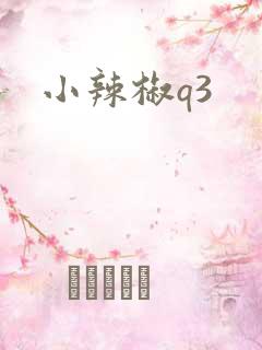 小辣椒q3