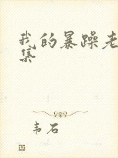 我的暴躁老妈全集