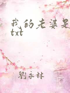 我的老婆是警察txt