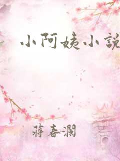 小阿姨小说