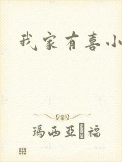 我家有喜小说