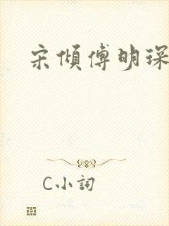 宋倾傅明琛小说