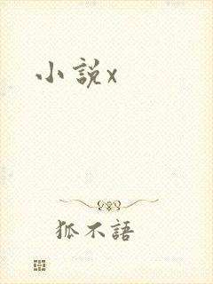 小说x
