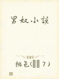 男奴小说