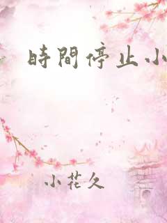 时间停止小说