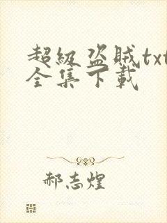超级盗贼txt全集下载