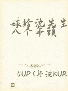 嫁给沈先生的第八个年头