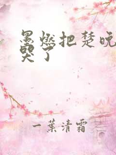 墨燃把楚晚宁C哭了