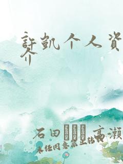 许凯个人资料简介