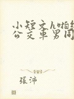 小短文h啪纯肉公交车男同