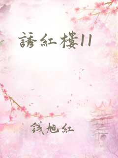 诱红楼11