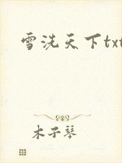 雪洗天下txt