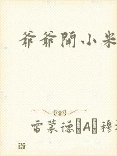 爷爷开小米的处