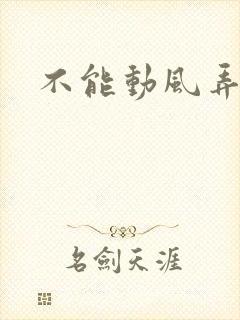 不能动风弄