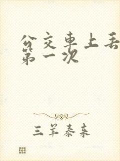 公交车上丢失了第一次