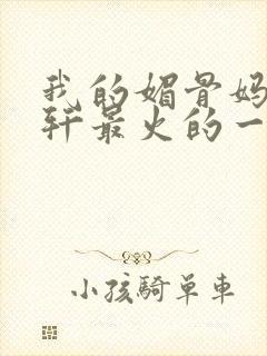 我的媚骨妈妈林轩最火的一句