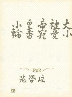 小皇帝被大臣们轮番宠爱小说