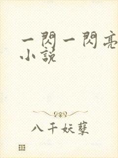 一闪一闪亮星星小说