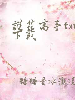 护花高手txt下载