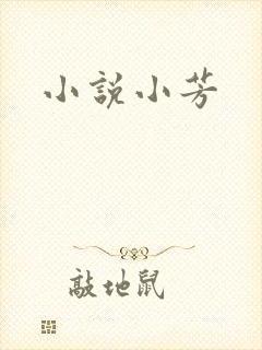 小说小芳
