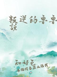 叛逆的鲁鲁修小说