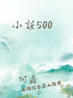 小说500