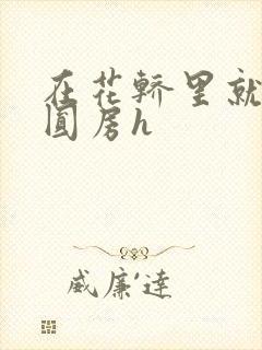 在花轿里就开始圆房h