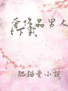 奢侈品男人txt下载