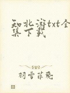知北游txt全集下载