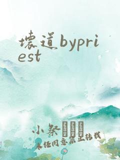 坏道bypriest