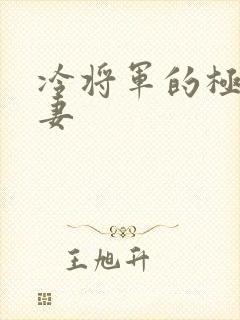 冷将军的极品娇妻