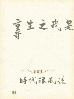 重生之我是大帅哥