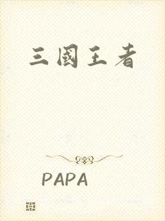 三国王者