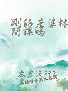 刚的老婆林彦是间谍吗