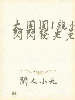 大团圆1亲情会闪闪发光免费