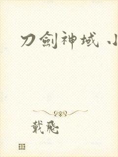 刀剑神域 小说